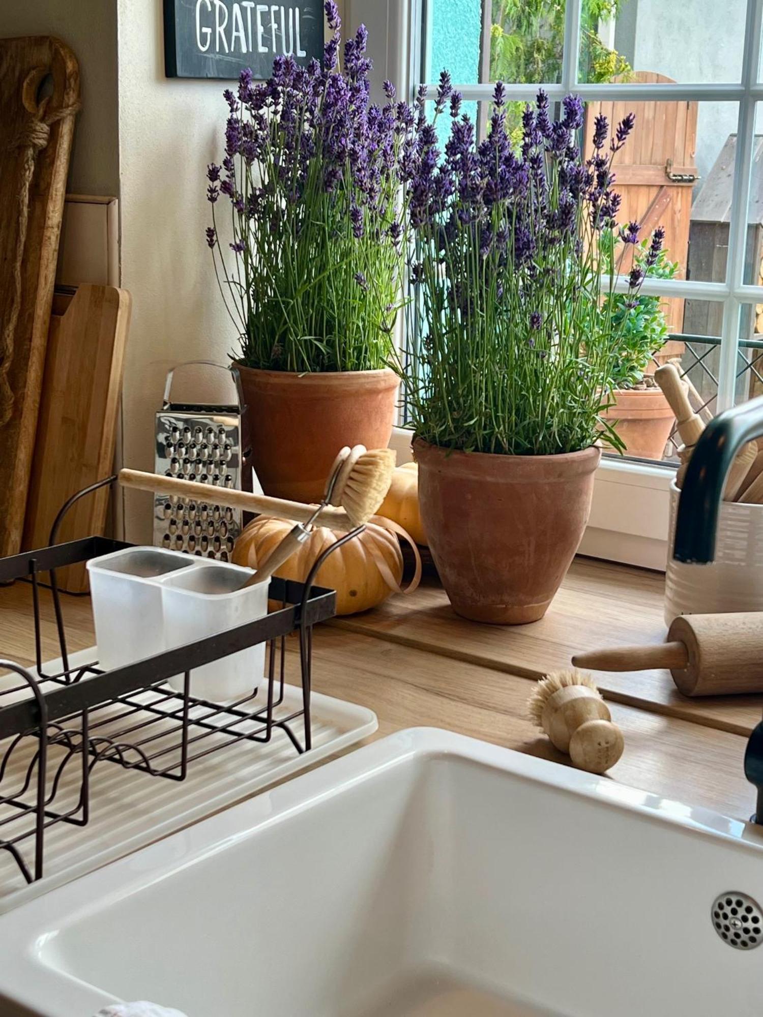 Orchardhouse Farmhouse, Wellness Chrast  Eksteriør bilde