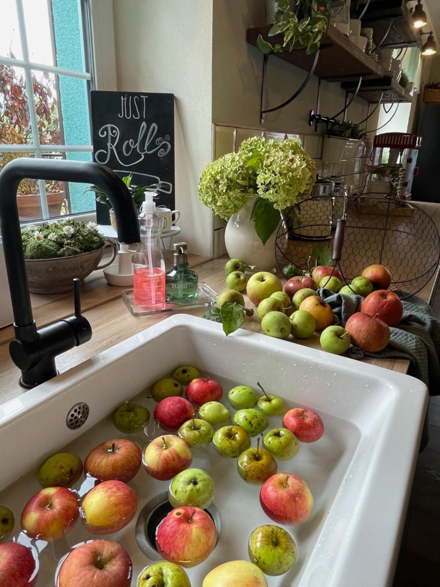 Orchardhouse Farmhouse, Wellness Chrast  Eksteriør bilde